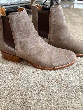 freebird Taupe Suede Chelsea Boots with Brown Elastic